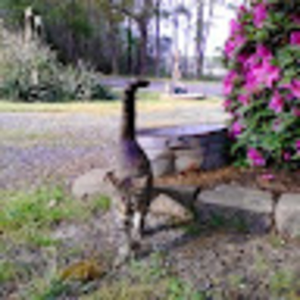 Meet your Posher, Charity